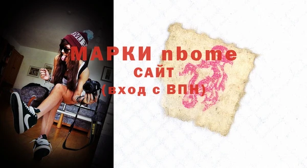 мдпв Гусев