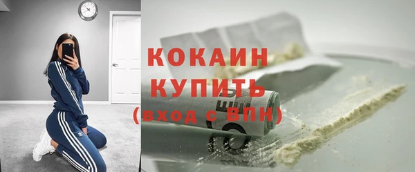 мдпв Гусев