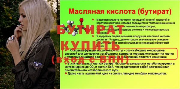 мдпв Гусев