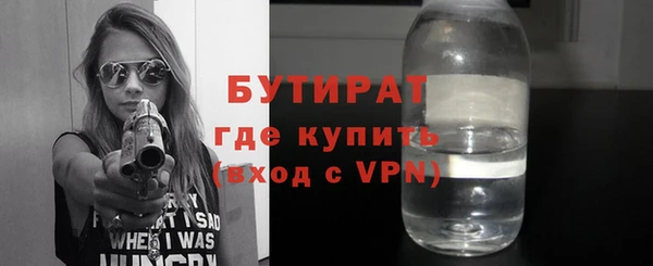 мдпв Гусев