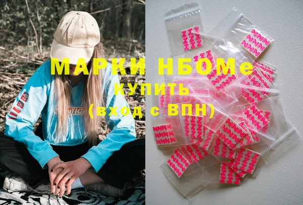 мдпв Гусев