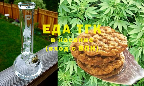 мдпв Гусев