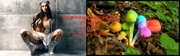 первитин Гусиноозёрск