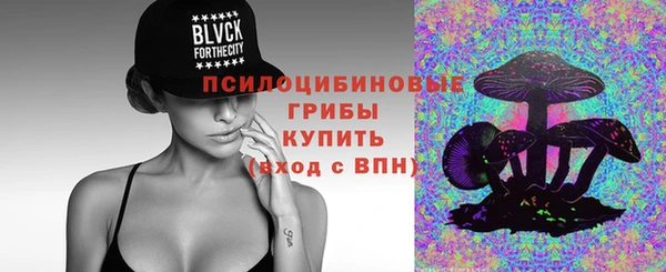 мдпв Гусев