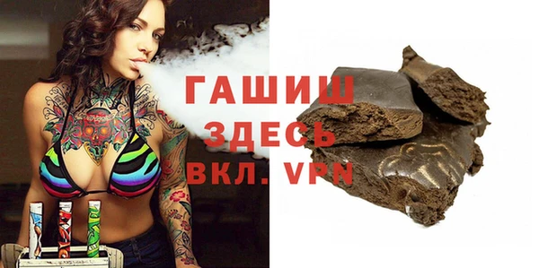 мдпв Гусев