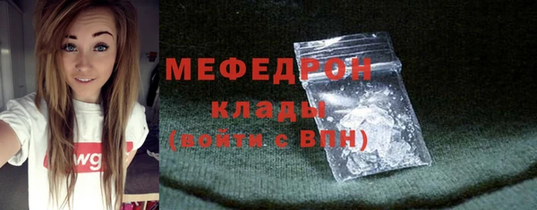 мдпв Гусев