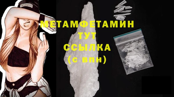 мдпв Гусев