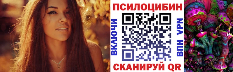 цена наркотик  Няндома  Галлюциногенные грибы Cubensis 